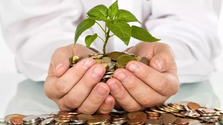 How To Build Startup Business (When You Haven't Found The Investors)