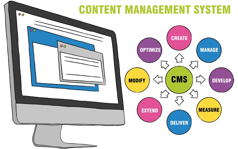 The Importance Of CMS For Your Website