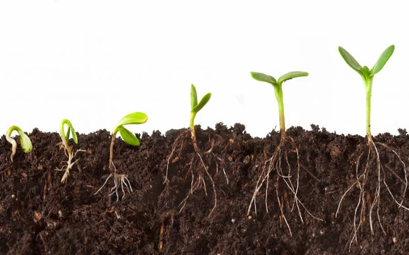 Why Is Self Motivation So Important?